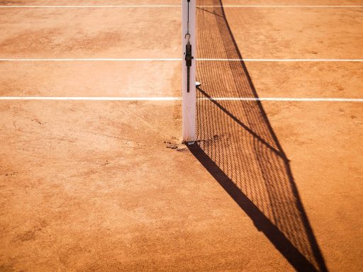 brown wooden surface with net