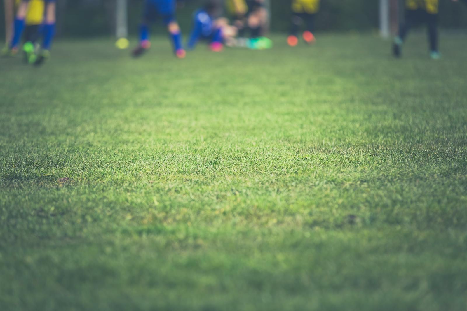 Free stock photo of field, football, game