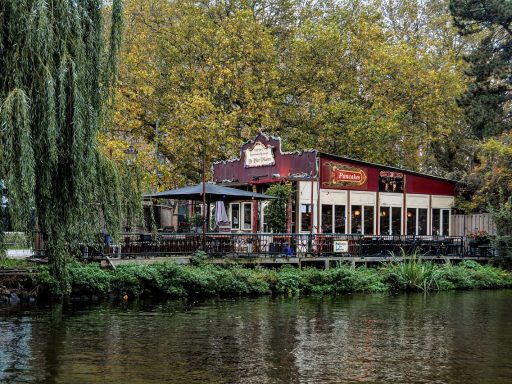 Vrouwen aan tafel in een duurzaam restaurant in Nederland met een seizoensmenu